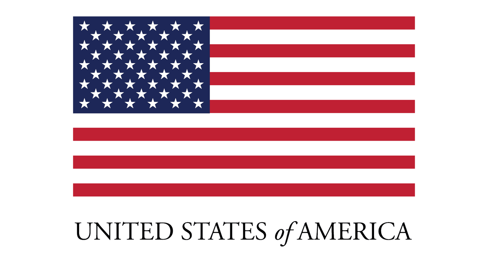 USA Logo
